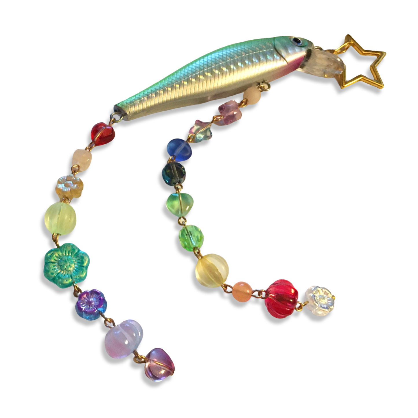 レインボーフィッシュ ~ Rainbow Fish No. 2