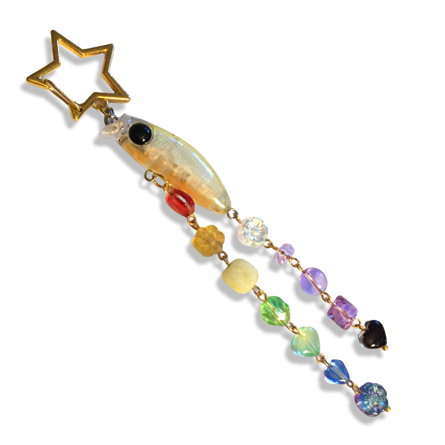 レインボーフィッシュ ~ Rainbow Fish MINI