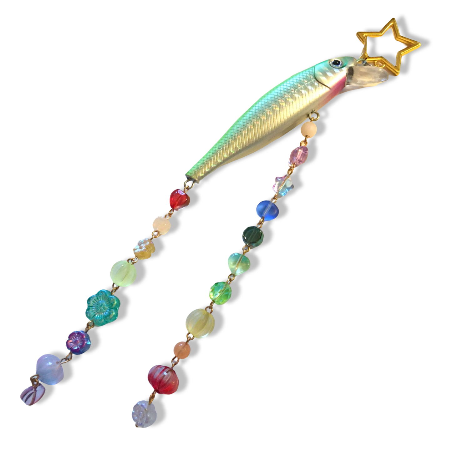 レインボーフィッシュ ~ Rainbow Fish No. 2