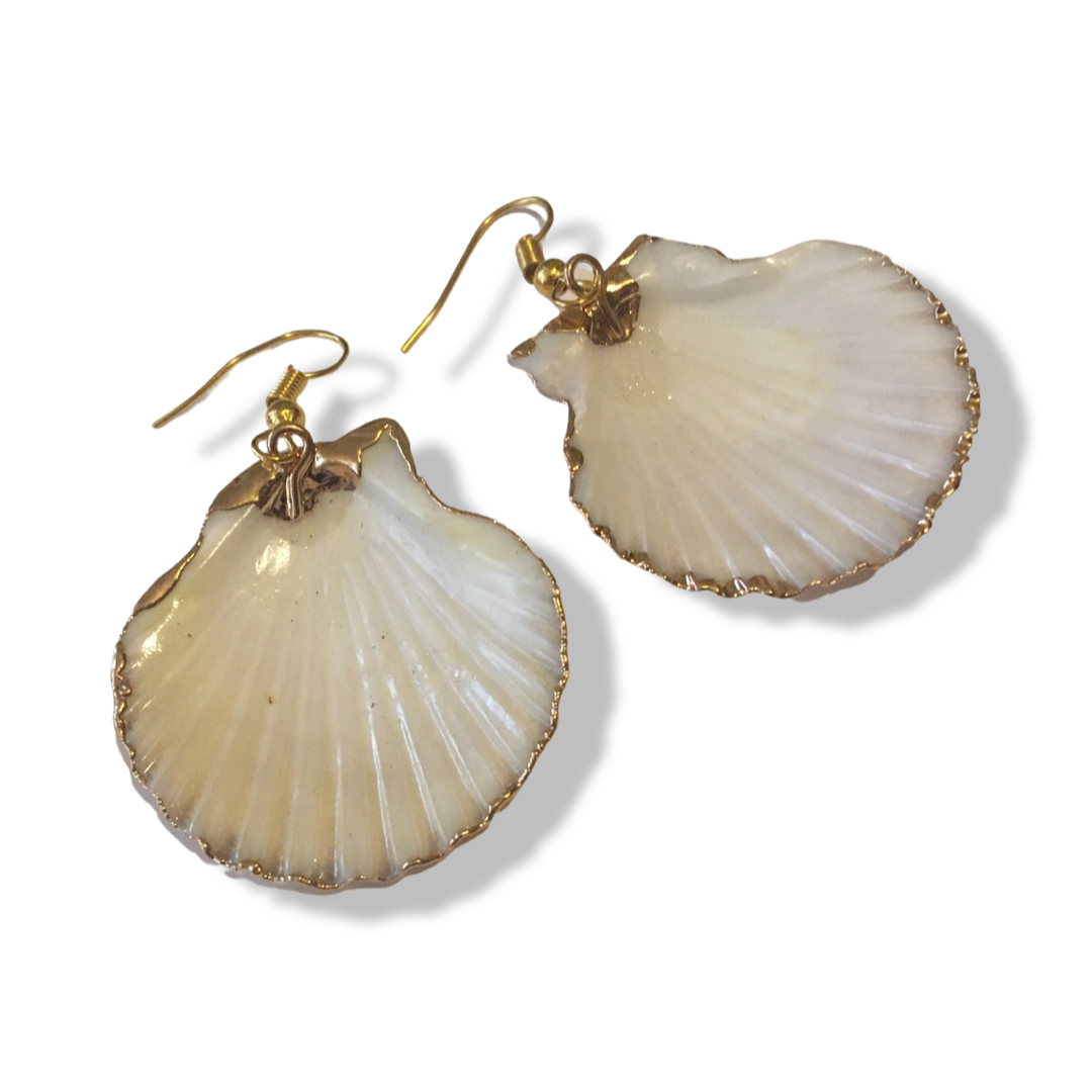扇貝 ~ Clamshell Earrings
