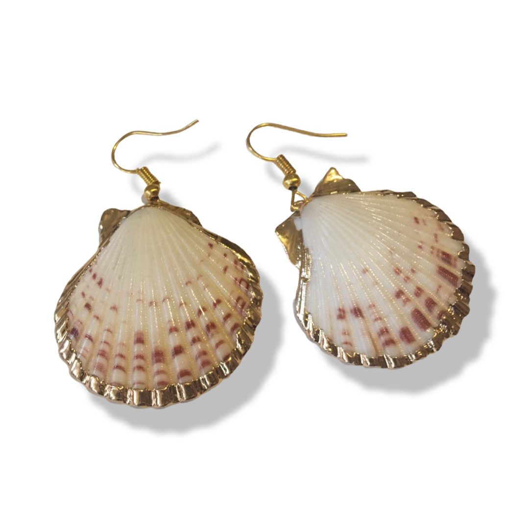 扇貝 ~ Clamshell Earrings