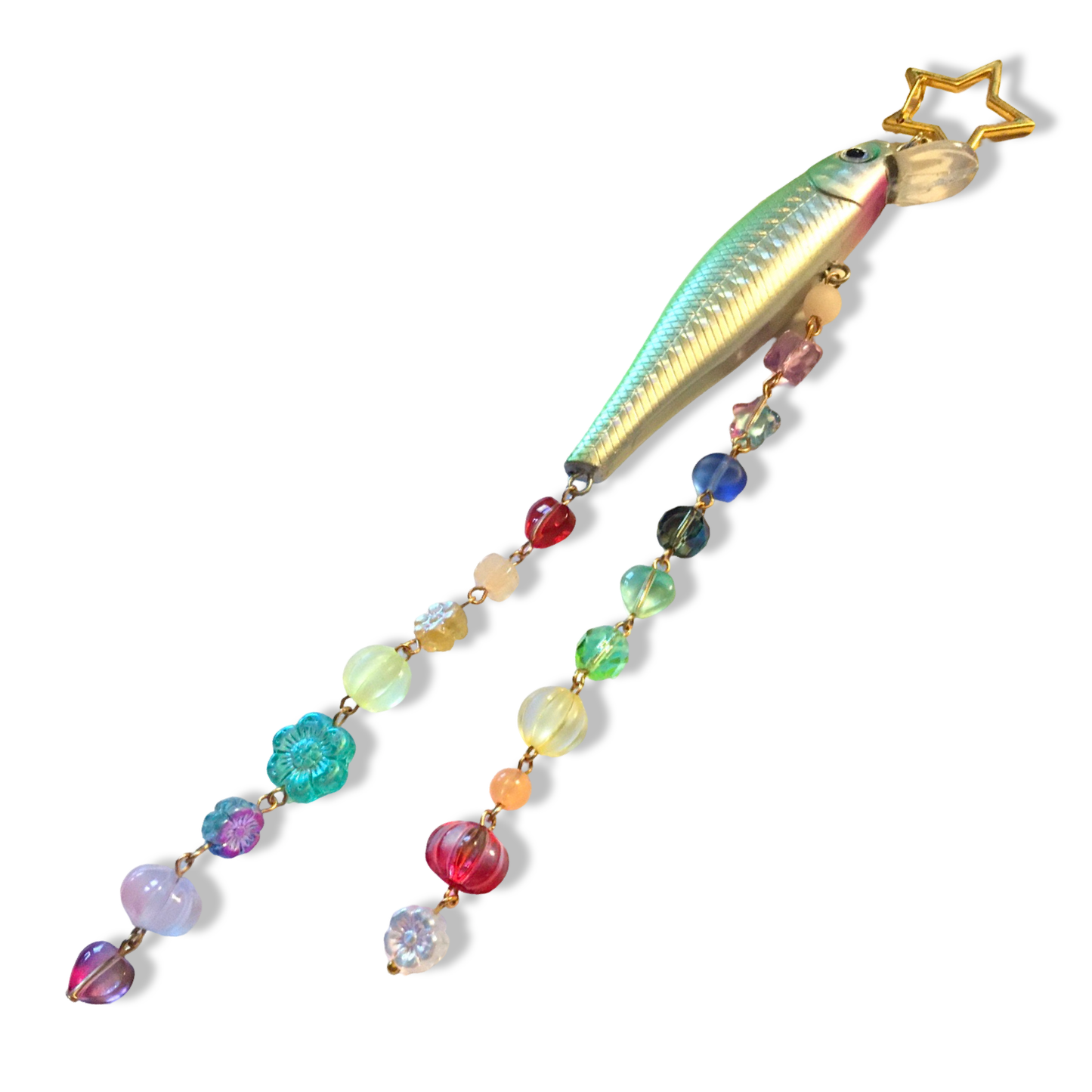 レインボーフィッシュ ~ Rainbow Fish No. 2