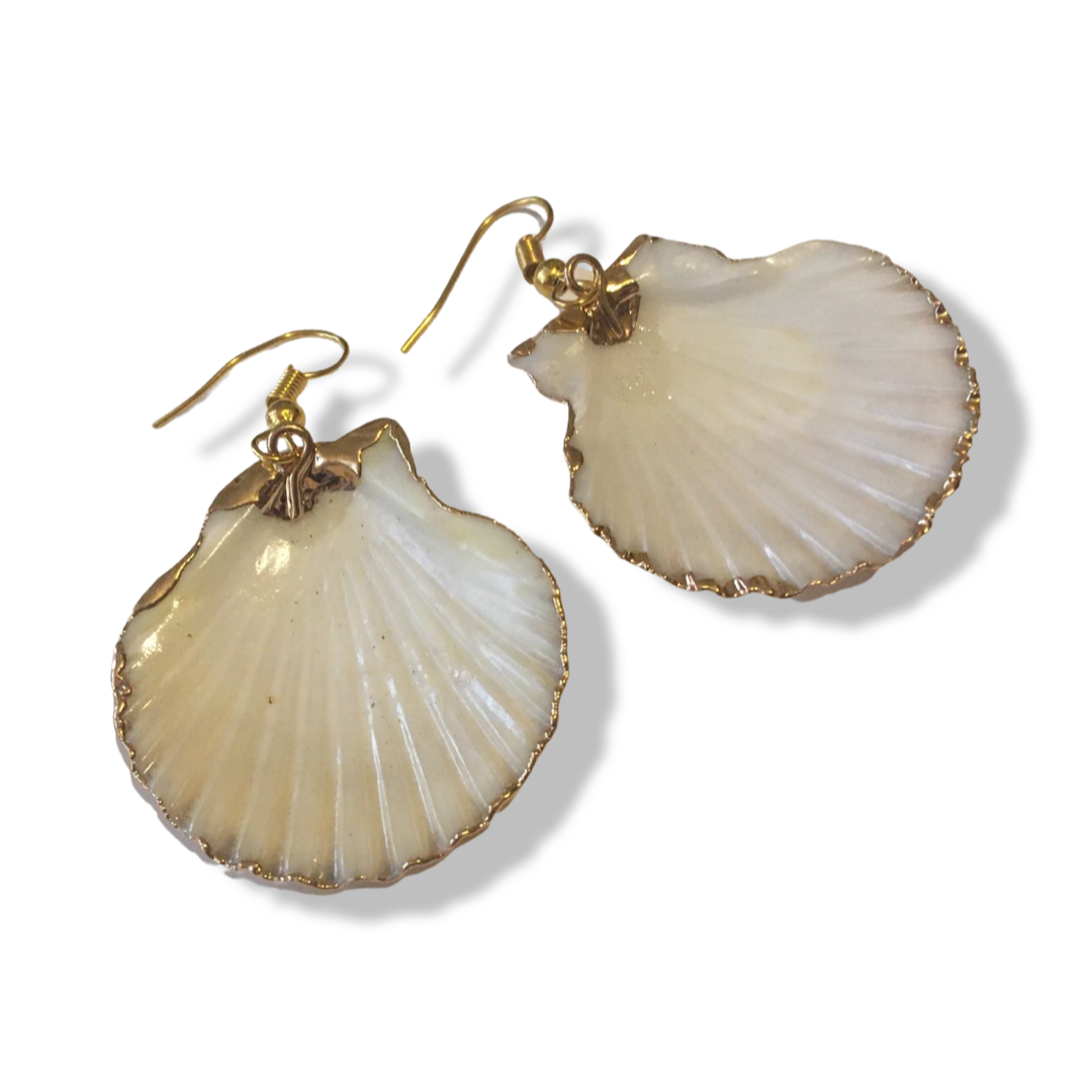 * 扇貝 ~ Clamshell Earrings